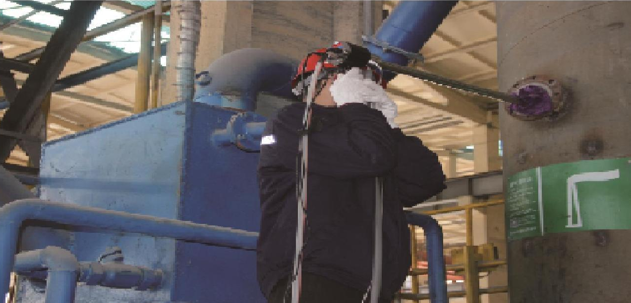 Flue Gas Analyzer